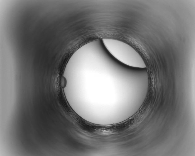 X0000096670498200802051013
