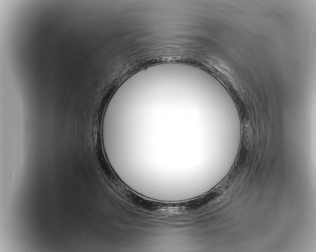 X0000096670499200802051013