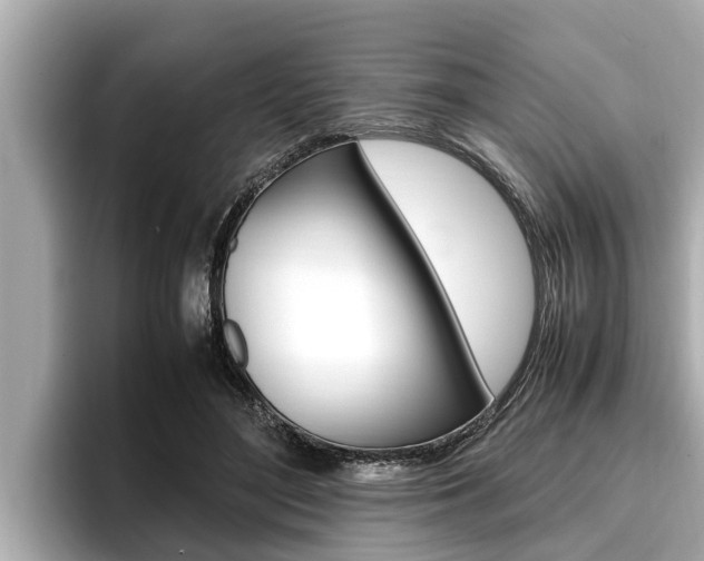 X0000096670500200802051012