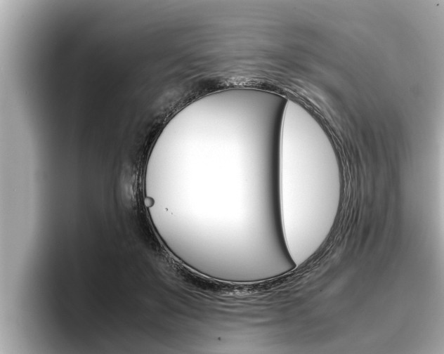 X0000096670503200802051012