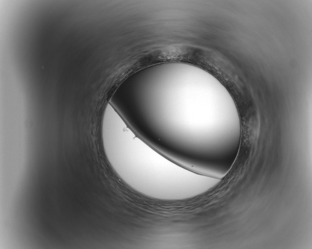 X0000096670505200802051012