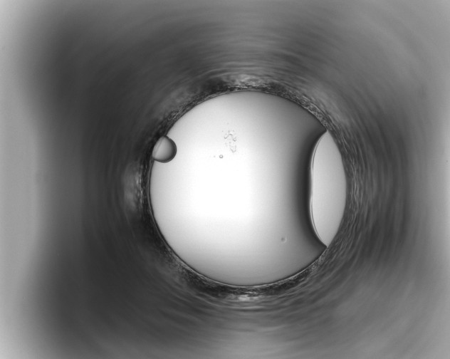 X0000096670506200802051012