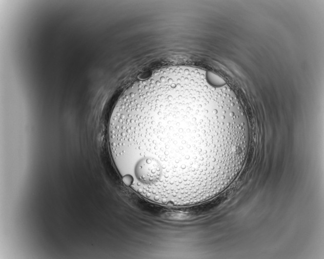 X0000096670507200802051012