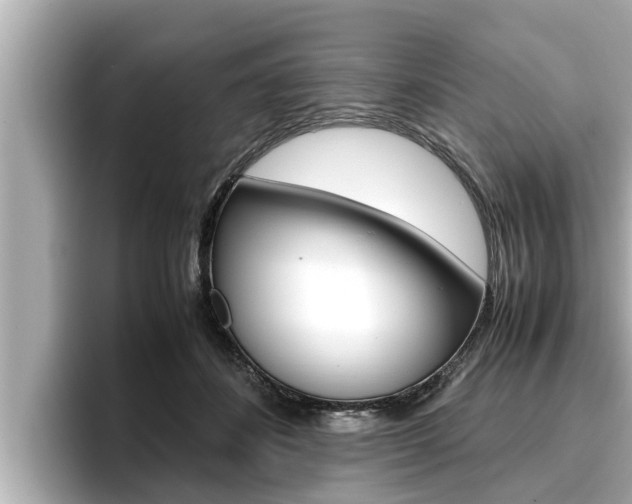 X0000096670508200802051012