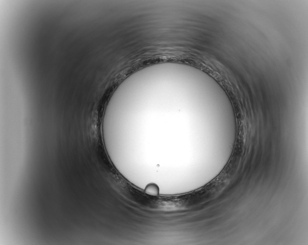 X0000096670510200802051012
