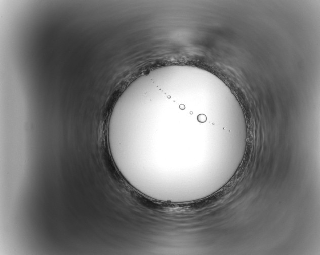 X0000096670511200802051012