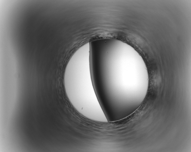 X0000096670513200802051012