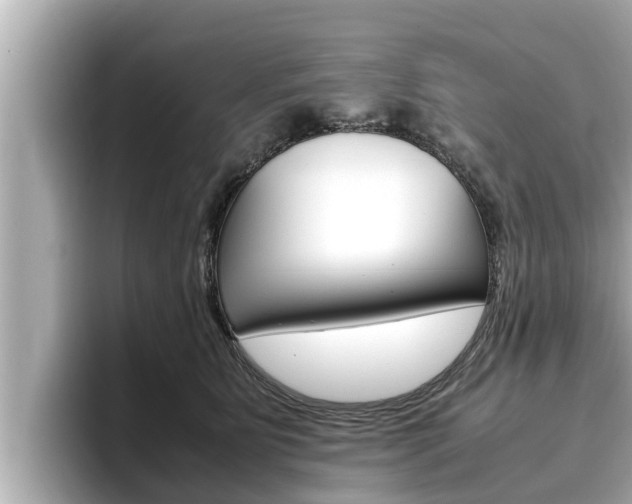 X0000096670515200802051012