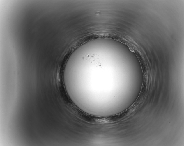 X0000096670516200802051012