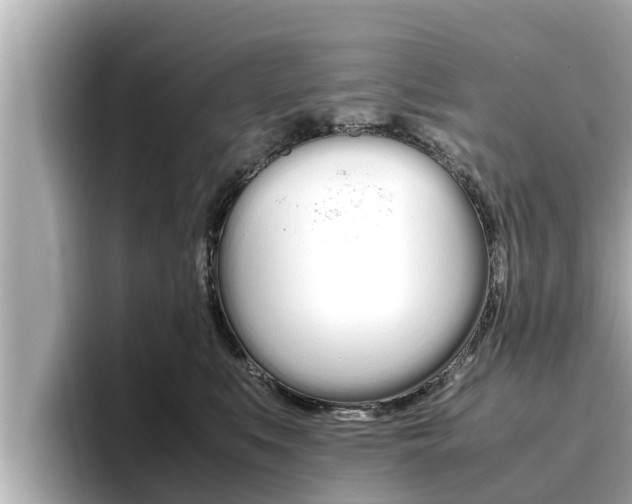 X0000096670519200802051012