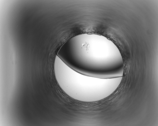 X0000096670521200802051012