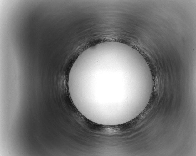 X0000096670522200802051012