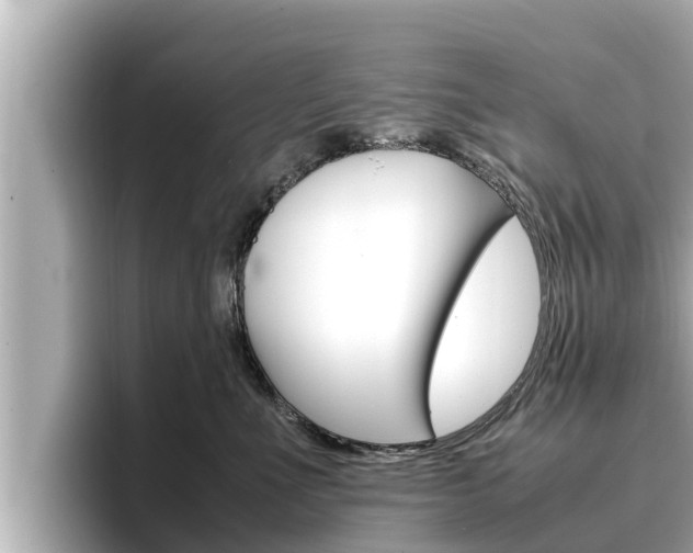 X0000096670523200802051012