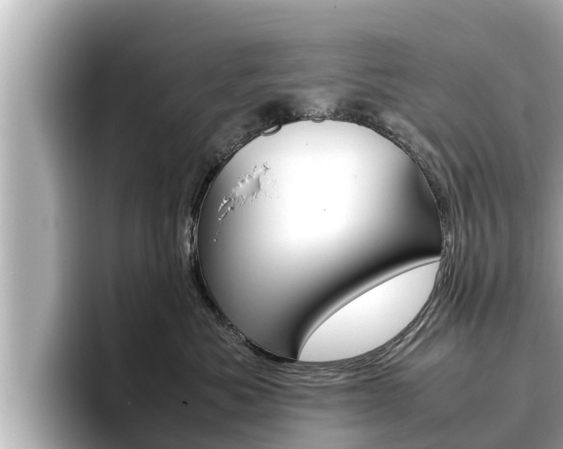 X0000096670525200802051012