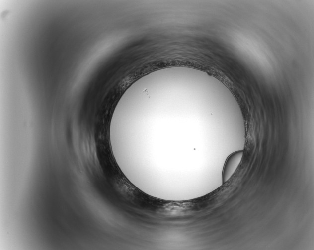 X0000096670526200802051012