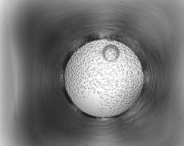 X0000096670527200802051012