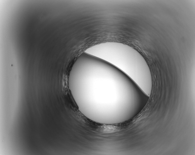X0000096670528200802051012
