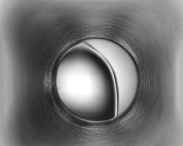X0000096670530200802051012