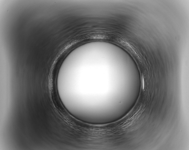 X0000096670531200802051012