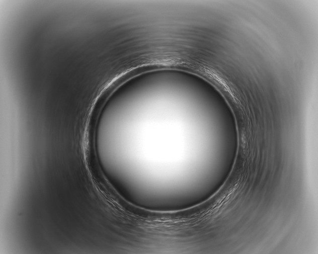 X0000096670532200802051012
