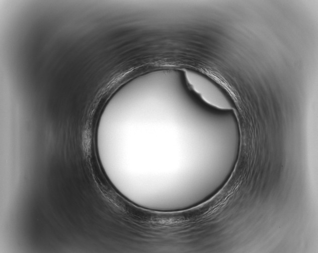 X0000096670533200802051012