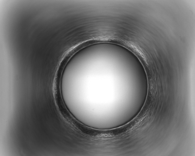 X0000096670536200802051012