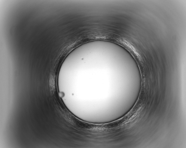 X0000096670537200802051012