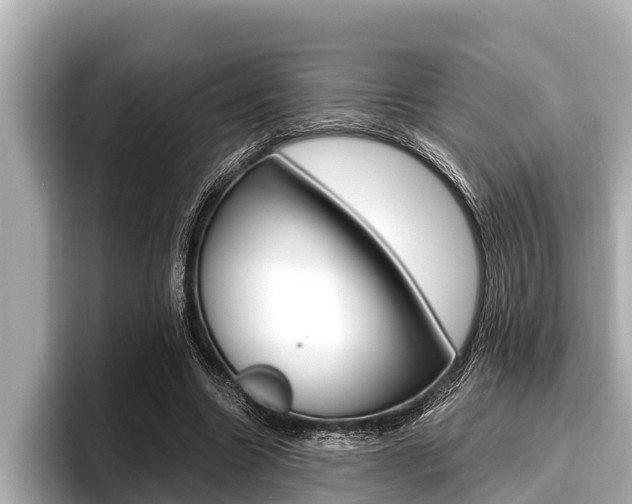 X0000096670538200802051012