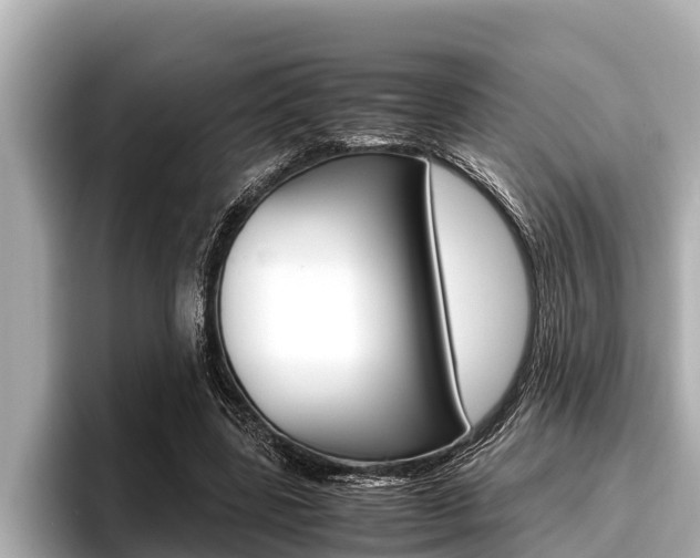 X0000096670539200802051012