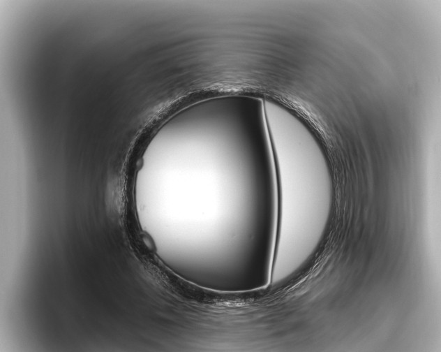 X0000096670540200802051012