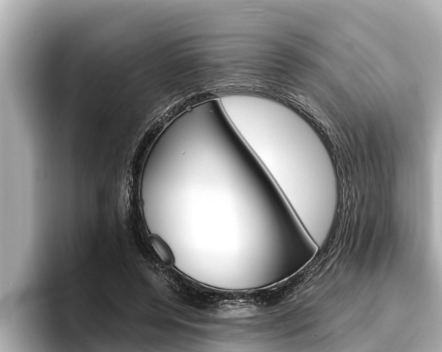 X0000096670544200802051012