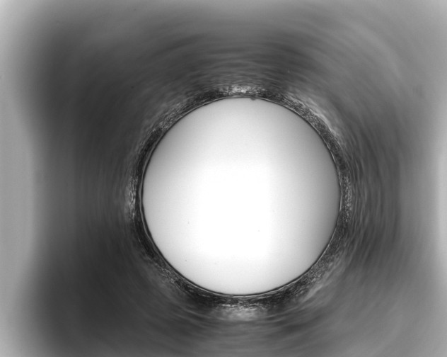 X0000096670545200802051012