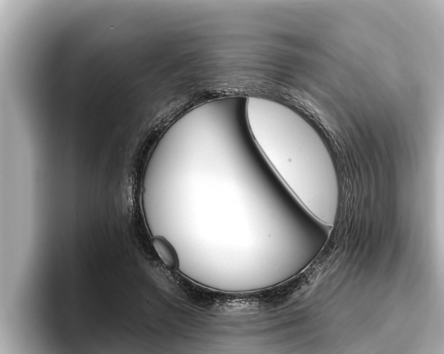 X0000096670546200802051012