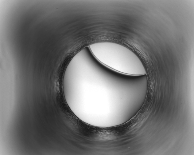 X0000096670547200802051012