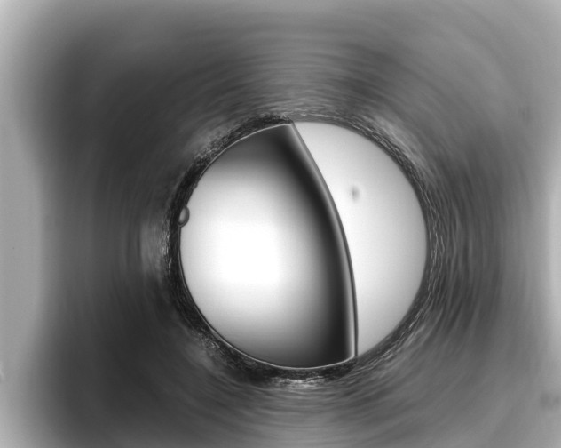 X0000096670548200802051012