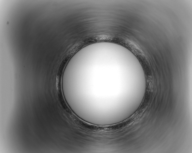 X0000096670550200802051012