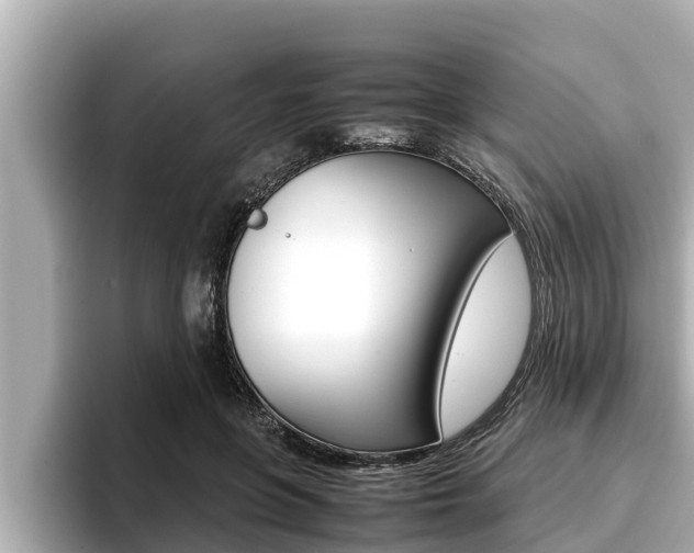 X0000096670551200802051012