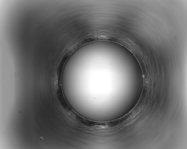X0000096670552200802051012