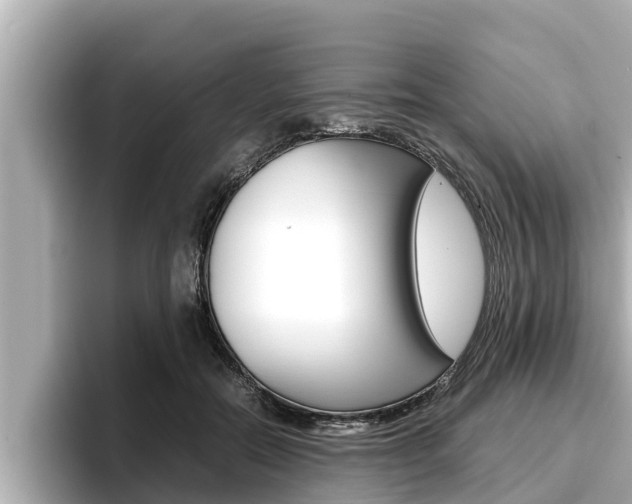 X0000096670554200802051012
