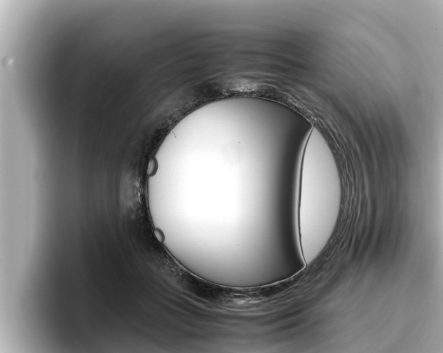 X0000096670555200802051012