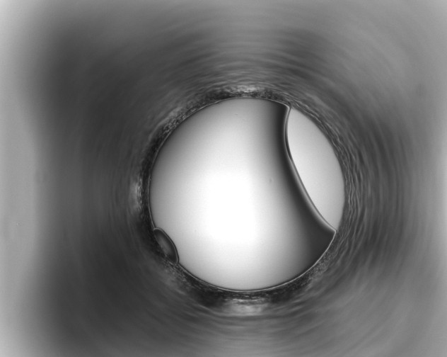 X0000096670556200802051012