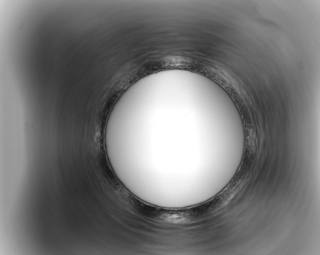 X0000096670557200802051012