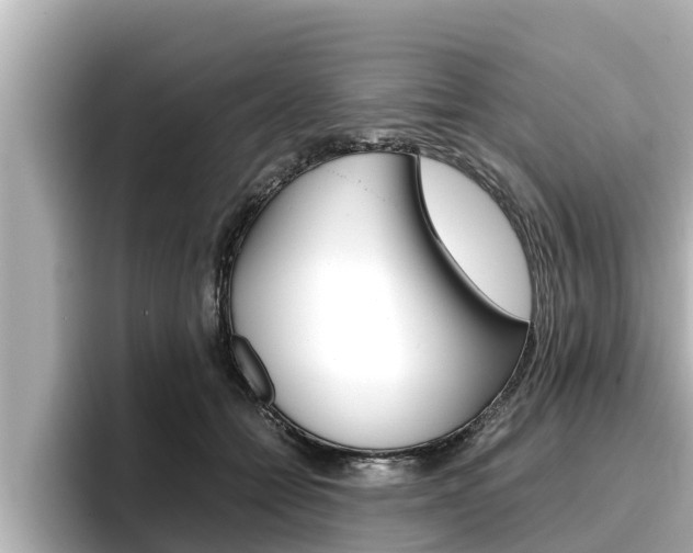 X0000096670558200802051012