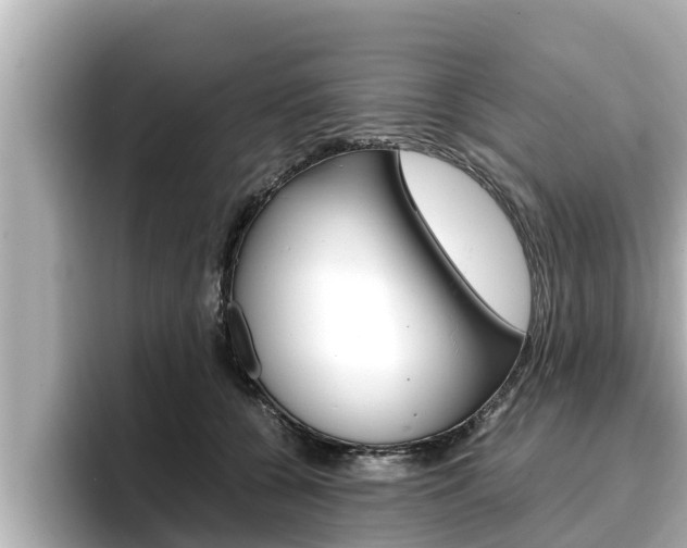 X0000096670560200802051012