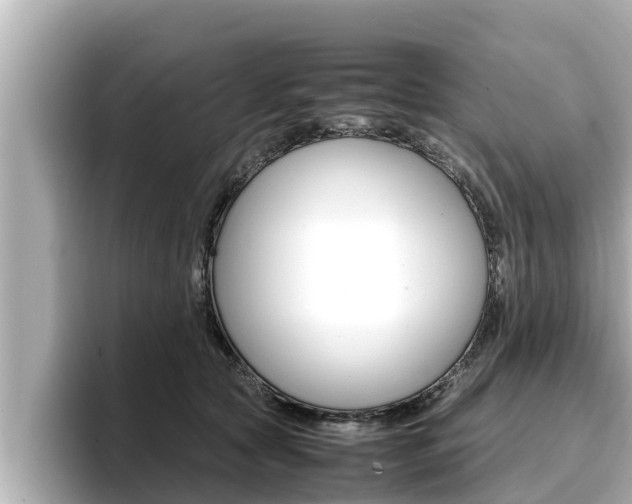 X0000096670561200802051012