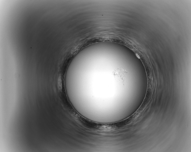 X0000096670562200802051012