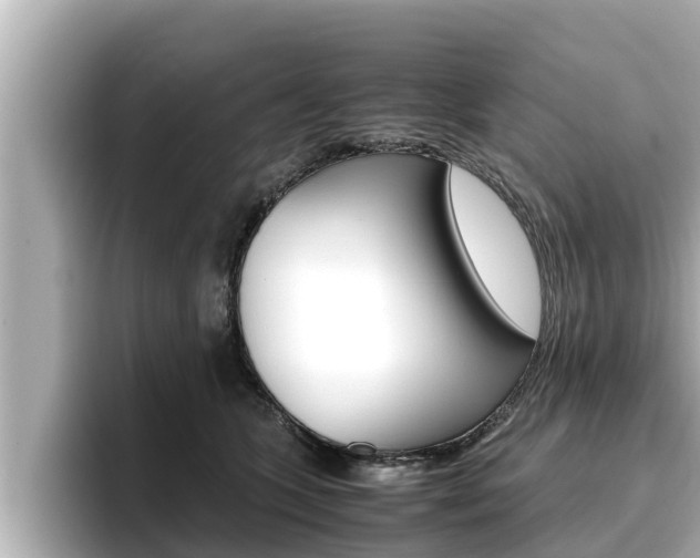 X0000096670563200802051012