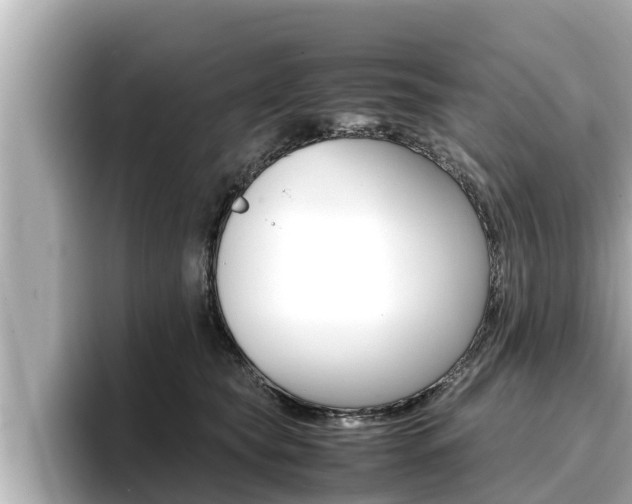 X0000096670565200802051012