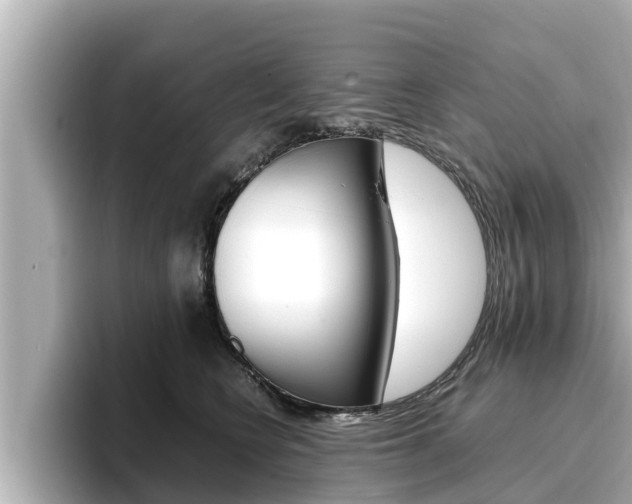 X0000096670566200802051012