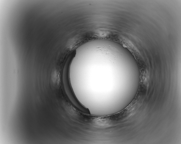 X0000096670568200802051012